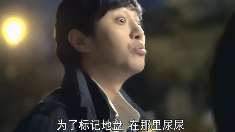 拯救巧虎4